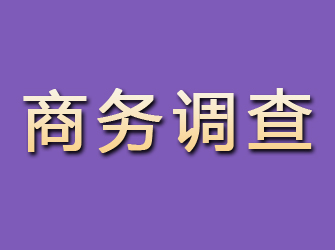 漳浦商务调查